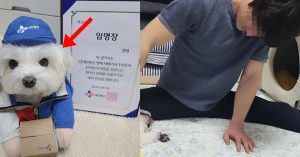 ‘강아지 택배 무고 사건’ 경태희 아부지 6억 1천만원 횡령 혐의 기소 (+인스타)