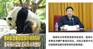 “긍정적인 변화의 시작” 푸바오 팬들의 항의가 이어지자 중국에서 감찰 조사가 시작됐다