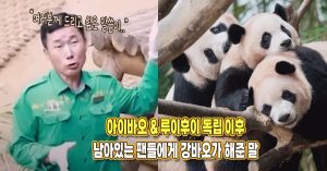 “아루후의 마지막날” 독립으로 아이들 결별 후, 남아있는 팬들에게 강바오가 해준 말