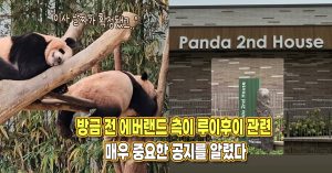 “쌍둥이들의 이사 날짜가 확정됐습니다” 방금 전 에버랜드 측이 루이후이 관련 매우 중요한 공지를 알렸다