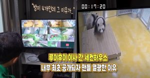 “방이 4개인데 그 이유가..” 루이후이 이사간 세컨하우스 내부 최초 공개되자 팬들 열광한 이유