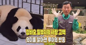 “너희 좋아해. 할부지 마음 알지?” 강바오의 고백 알아들은 듯한 루이바오 반응