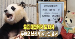 “제2의 전성기 수준 아닌가요” 요즘 대만에서 또 다시 푸바오 난리가 났다는 증거