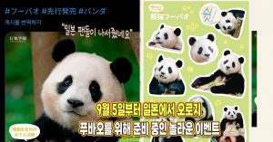 “일본까지 나섰다” 9월 5일부터 일본에서 오로지 푸바오를 위해 준비 중인 놀라운 이벤트