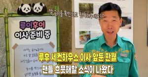 “자취 준비하는 루이후이” 세컨하우스 이사 앞둔 판다월드, 팬들 흐뭇해할 소식이 나왔다